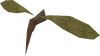 Large mosquito
