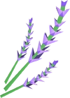 Lavender detail