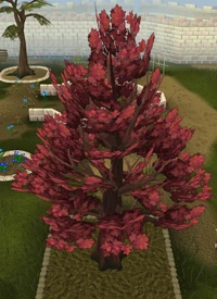 Maple tree detail