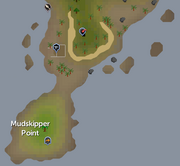 Mudskipper point