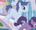 Blueberry twist.png
