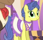 Party pony 1.png