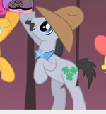 Shamrock.png