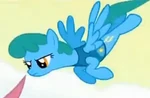 Bluebird Happiness.png