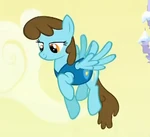 Chocolate Blueberry.png