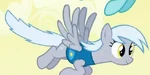 Ice pop.png