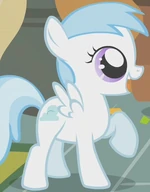 Cotton Cloudy.png