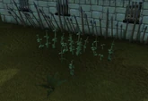 Nettle DVJ location