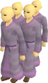 New Zanaris choir