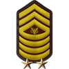 P031