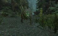 Bear(SprigganThrall)