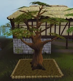 Oak4