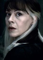Teacher At Hogwarts