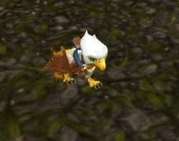 Image of Beak