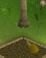 Palm3