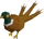 Pheasant3tail