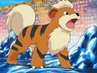 http://images2.wikia.nocookie.net/__cb20111127091540/pokemony/pl/images/thumb/6/63/Morrison_Growlithe.png/200px-Morrison_Growlithe.png