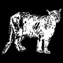 Pielpuma