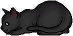 Rainwhisker.kit