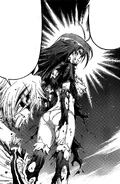 Tsurubami's evaluation of Medaka