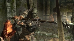 Orc2