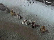 Seals