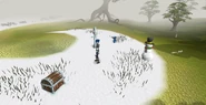 Season tree area