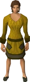 Shoesfem1