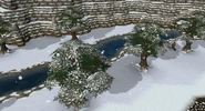 Snowy trees
