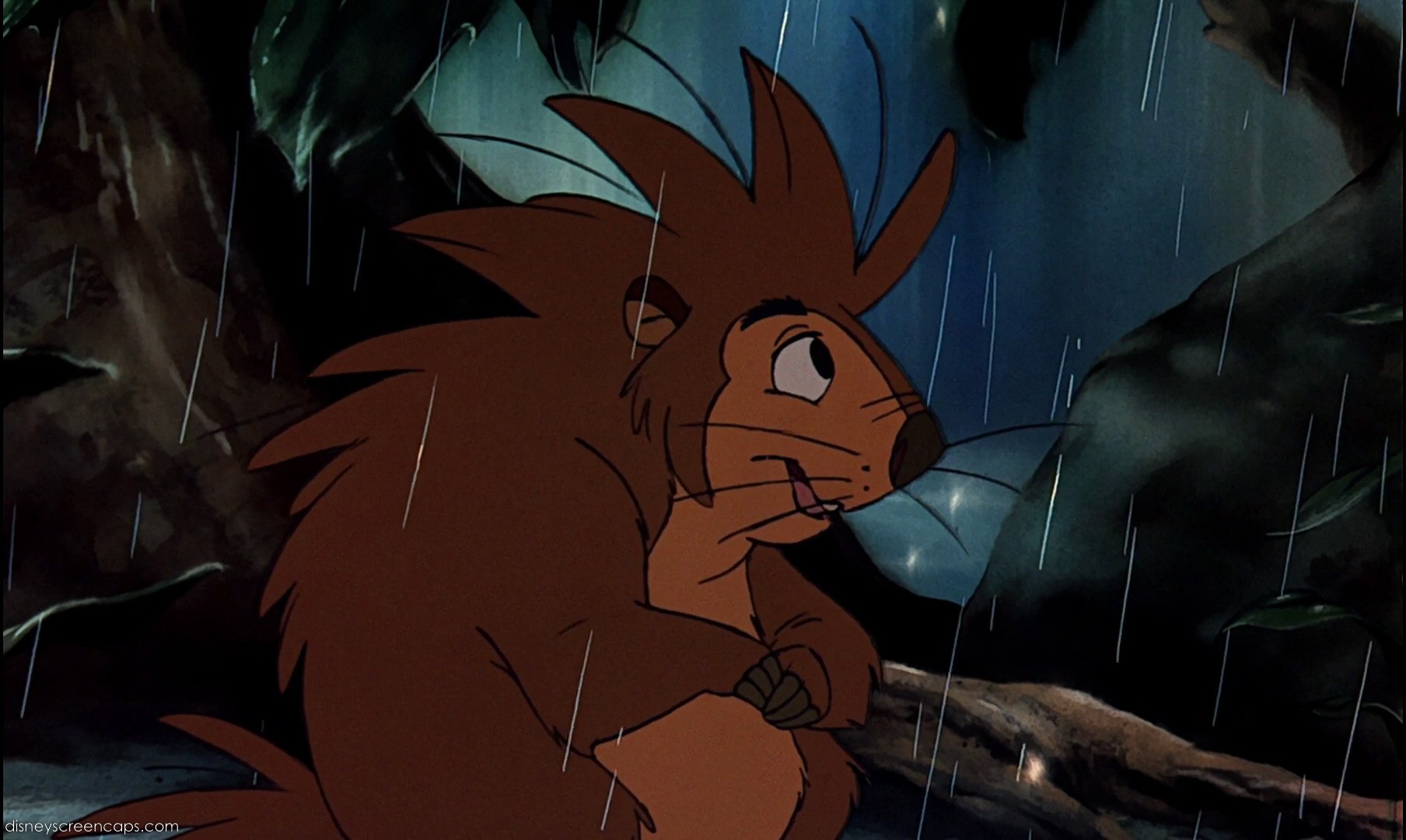 Porcupine (The Fox and the Hound) - DisneyWiki