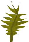 Swamp weed detail