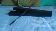 DSC02213