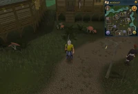 Emote clue Dance Canifis.png