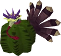 Turkey in cactus