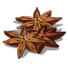 Anise Seed-icon.png
