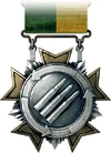 Support Service Medal