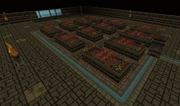 Water puzzle