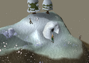 Waterbirth top