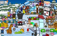 Alucard at my igloo1