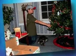 Nkfamxmas-2