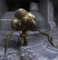 Forma portadora.jpg