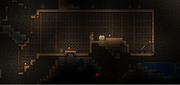 Underground House