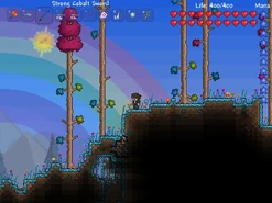 Hallowed biome