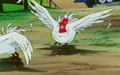EastDistrictChickens