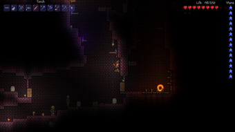 Terraria dungeon