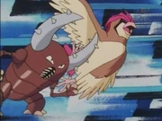 EP004 Pinsir usando placaje