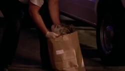1x01 Dexter 122
