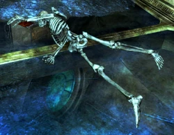 Drokt