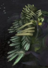Time-Twisted Shadowtalon