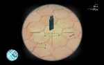 CallandCollect-USB-GTAIV